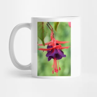 Fuchsia  FuchsiaBerry Mug